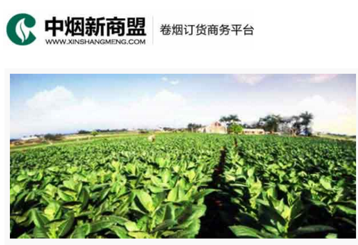 中烟新商盟卷烟订货商务平台-众赢国际版计划